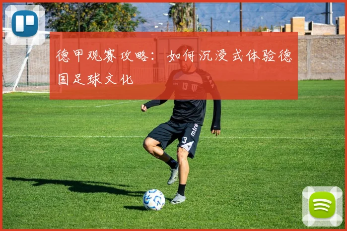 德甲观赛攻略：如何沉浸式体验德国足球文化
